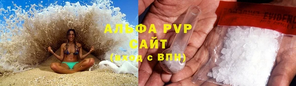 индика Белоозёрский