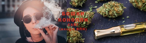 индика Белоозёрский
