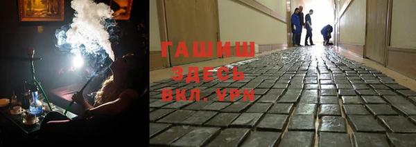 сатива Белокуриха