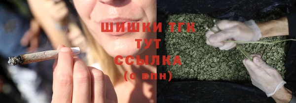 бошки Снежногорск