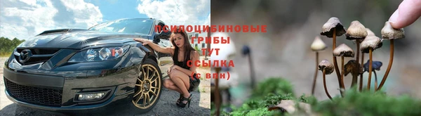 ECSTASY Беломорск