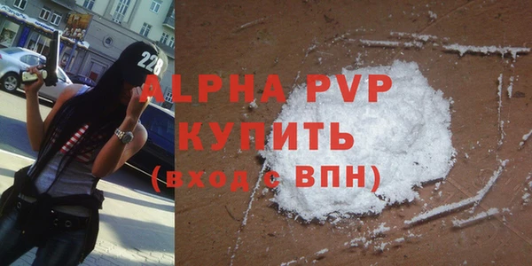 сатива Белокуриха