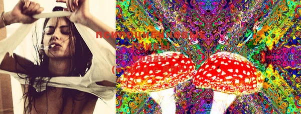 PSILOCYBIN Снежинск