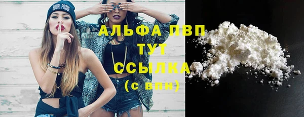 сатива Белокуриха