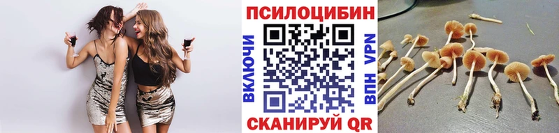 как найти закладки  Миллерово  Псилоцибиновые грибы GOLDEN TEACHER 